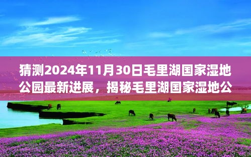 猜測(cè)2024年11月30日毛里湖國(guó)家濕地公園最新進(jìn)展，揭秘毛里湖國(guó)家濕地公園，2024年最新進(jìn)展展望