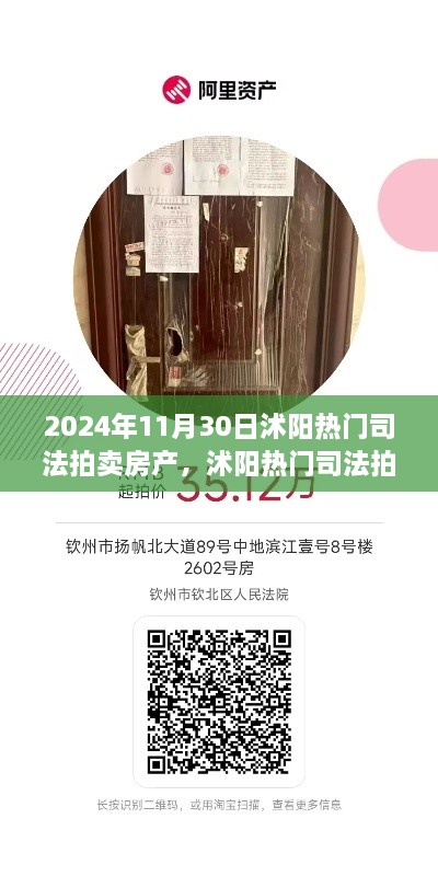 2024年11月30日沭陽(yáng)熱門司法拍賣房產(chǎn)搶拍指南，最新房源大揭秘