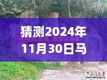 揭秘未來，馬山縣石豐村2024年11月30日最新動態(tài)展望指南