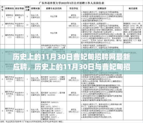 歷史上的11月30日，曹妃甸招聘網(wǎng)最新應(yīng)聘現(xiàn)象深度分析與觀點闡述