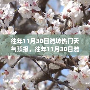 濰坊往年11月30日天氣預(yù)報(bào)回顧與旅行建議，氣象分析與建議