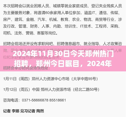 鄭州今日矚目，回顧2024年11月30日熱門(mén)招聘盛況