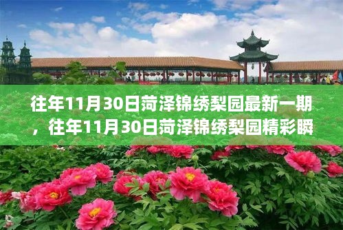 菏澤錦繡梨園，傳統(tǒng)戲曲魅力之旅的精彩瞬間探索