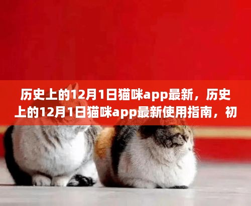 歷史上的12月1日貓咪app最新，歷史上的12月1日貓咪app最新使用指南，初學者與進階用戶的全面教程