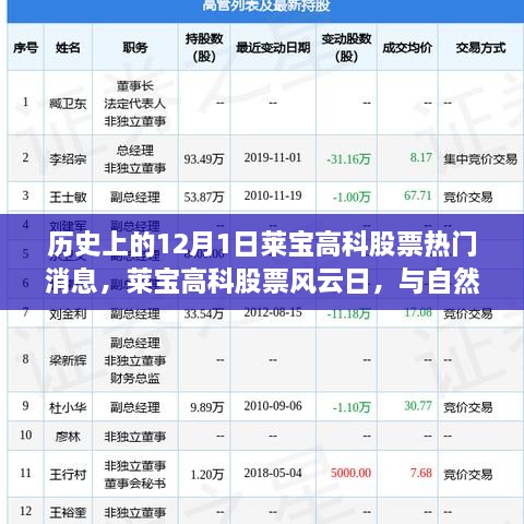 歷史上的12月1日萊寶高科股票熱門消息，萊寶高科股票風(fēng)云日，與自然美景的奇妙邂逅，心靈旅行的啟程時(shí)刻