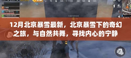 北京暴雪下的奇幻之旅，與自然共舞，探尋內(nèi)心寧靜的旅程