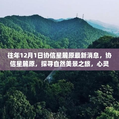 協(xié)信星麓原最新消息，探尋自然美景之旅的心靈港灣