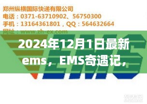 EMS奇遇記，快遞背后的溫暖故事揭秘，2024年12月最新篇章