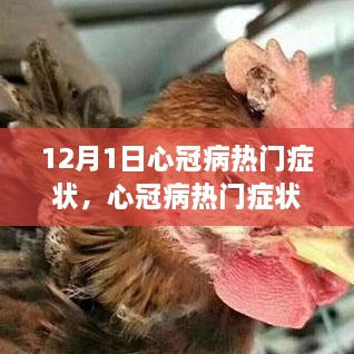 心冠病熱門癥狀深度解析，背景、事件與影響（最新更新）