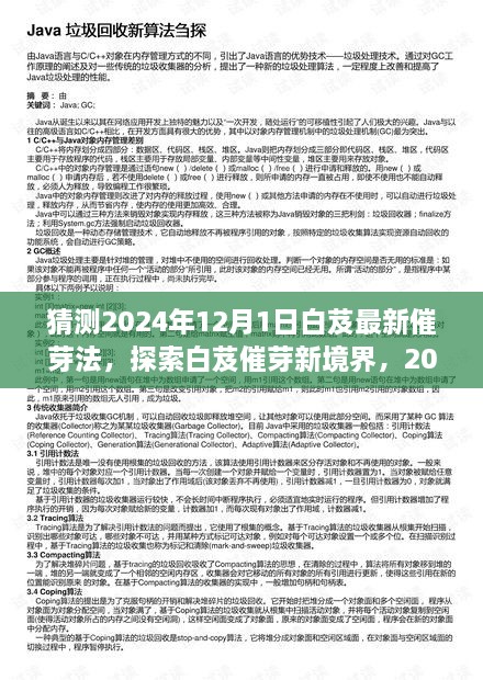 探索白芨催芽新境界，2024年白芨最新催芽法完全指南（適合初學(xué)者與進(jìn)階用戶）