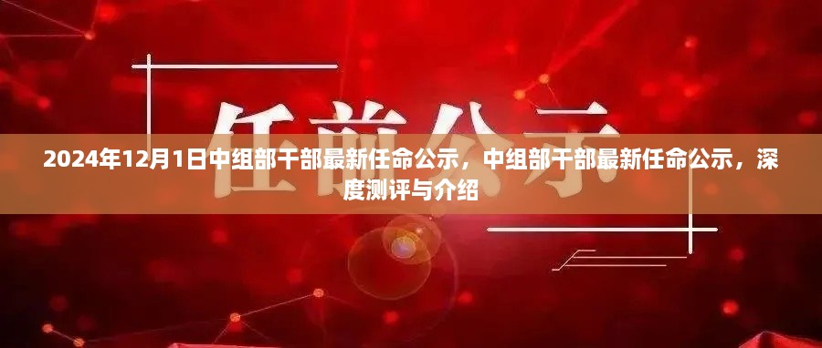 中組部干部最新任命公示深度測(cè)評(píng)與介紹，2024年任命名單揭曉