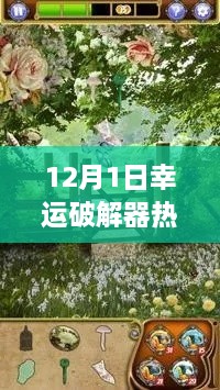 12月1日幸運破解器中文版，解鎖自然之美的犯罪風險探討