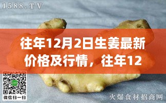 深度解析，往年12月2日生姜市場(chǎng)行情及最新價(jià)格概覽