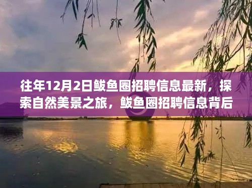 揭秘鲅魚圈招聘信息背后的自然美景之旅，寧靜秘境等你來探索