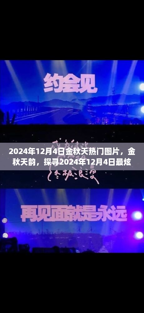 探尋金秋韻味，2024年12月4日熱門圖片精選