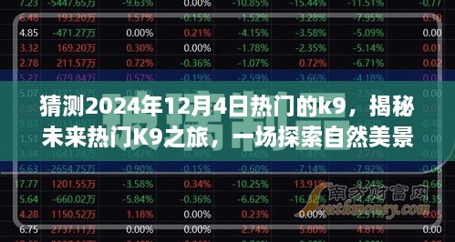 揭秘未來熱門K9之旅，啟程于2024年12月4日的自然美景探索之旅