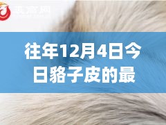 12月4日貉子皮最新價格及歷年趨勢解析，市場動態(tài)一覽