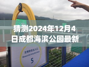 探秘時光角落，成都海濱公園2024年12月4日的最新動態(tài)與溫馨日常揭秘