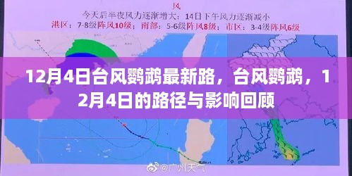 臺(tái)風(fēng)鸚鵡最新路徑與影響回顧，12月4日回顧報(bào)告