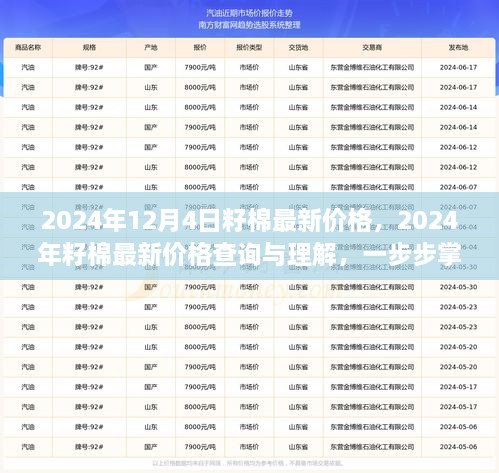 2024年12月4日籽棉最新價(jià)格，2024年籽棉最新價(jià)格查詢與理解，一步步掌握行情分析技能