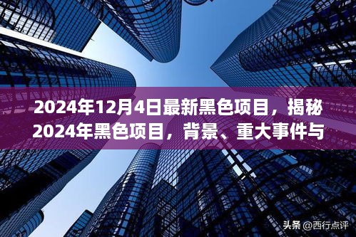 揭秘，2024年黑色項(xiàng)目的背景、重大事件與深遠(yuǎn)影響全解析