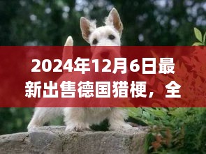 最新德國獵梗犬全面評測與出售信息，特性、競品對比及目標(biāo)用戶分析（2024年最新版）