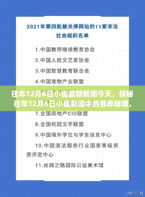 探秘往年12月6日小崔新聞中的巷弄秘境，小巷深處的特色小店揭秘