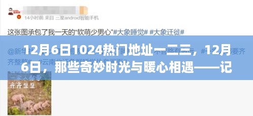 記藏于數字一二三間的溫馨日常，12月6日的奇妙時光與暖心相遇