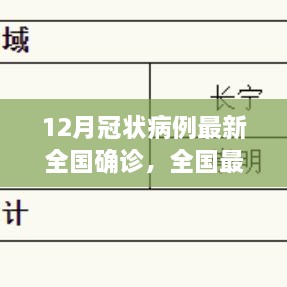 全國(guó)最新冠狀病例確診流程詳解，12月冠狀病例確診操作指南