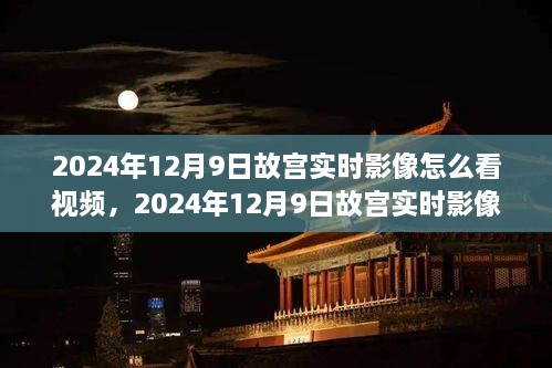 2024年12月9日故宮實時影像觀看指南，探索古都的在線之旅