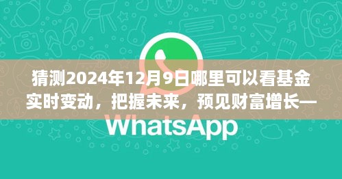 見證未來財富增長，把握基金實時變動之旅，2024年12月9日揭曉！