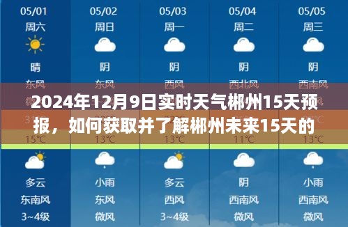 初學(xué)者指南，如何獲取并了解郴州未來15天的實時天氣預(yù)報——2024年12月9日及未來天氣速覽