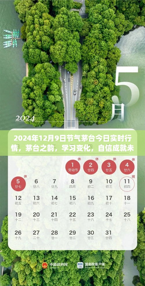 茅臺之韻，2024年12月9日實時行情啟示錄，洞悉變化，自信筑夢未來