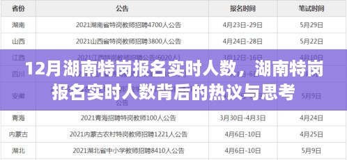 湖南特崗報名實時人數(shù)熱議與思考，背后的真相與啟示