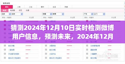 2024年12月10日微博用戶信息實(shí)時(shí)檢測(cè)探析，預(yù)測(cè)未來的深度洞察