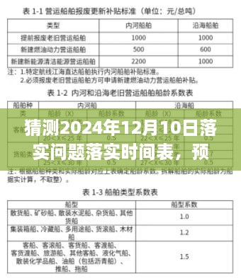 聚焦未來，解讀當下——2024年12月10日落實問題時間表全面解析與深度探討產(chǎn)品介紹