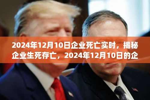 揭秘企業(yè)生死存亡，企業(yè)死亡實時真相揭秘（2024年12月10日）