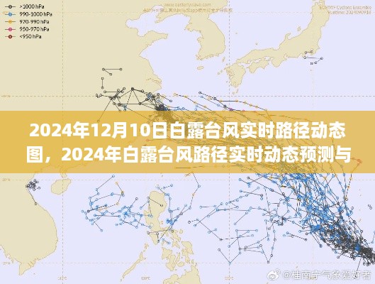 2024年白露臺(tái)風(fēng)實(shí)時(shí)路徑動(dòng)態(tài)圖及預(yù)測(cè)影響分析