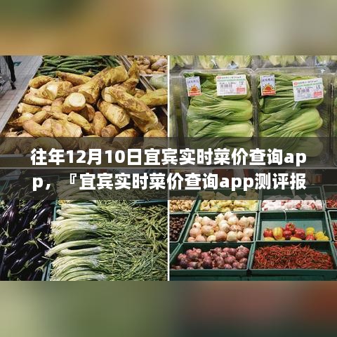 宜賓實時菜價查詢app歷年功能深度解析與用戶體驗洞察測評報告，宜賓歷年菜價變遷一覽無余！