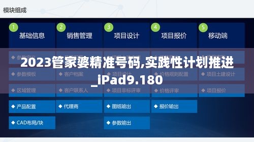 2023管家婆精準(zhǔn)號碼,實踐性計劃推進(jìn)_iPad9.180