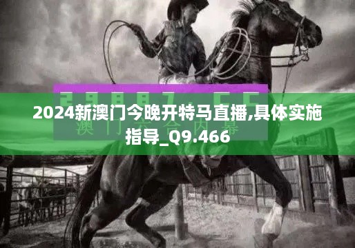 2024新澳門今晚開特馬直播,具體實施指導_Q9.466