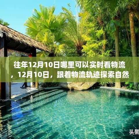 12月10日物流追蹤之旅，自然懷抱的心靈探索之旅