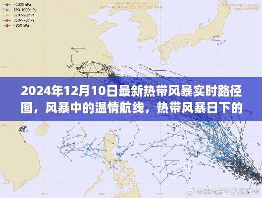 2024年熱帶風(fēng)暴實(shí)時(shí)路徑圖，風(fēng)暴中的溫情旅程與特殊旅程揭秘