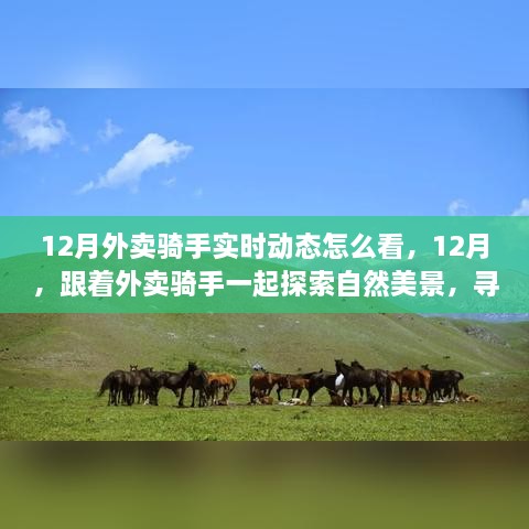 跟著外賣騎手探索自然美景，12月實(shí)時(shí)動(dòng)態(tài)與心靈之旅