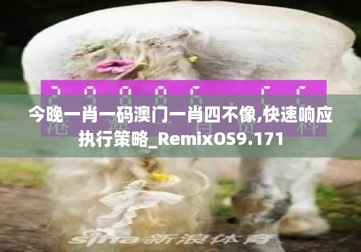 今晚一肖一碼澳門一肖四不像,快速響應執(zhí)行策略_RemixOS9.171