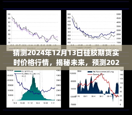 揭秘預(yù)測(cè)，2024年12月13日硅膠期貨實(shí)時(shí)價(jià)格行情展望與分析