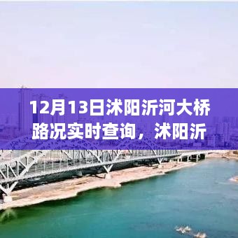 沭陽沂河大橋?qū)崟r路況深度解析，影響與價值探討