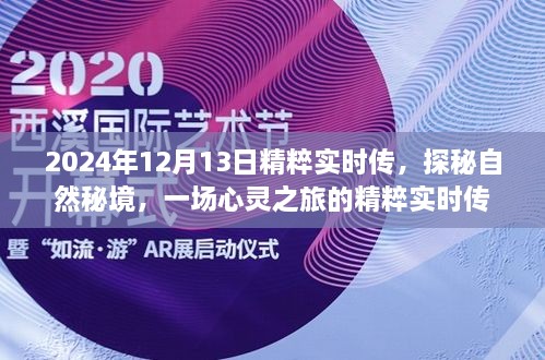 探秘自然秘境，心靈之旅的精粹實(shí)時(shí)傳（2024年12月13日）