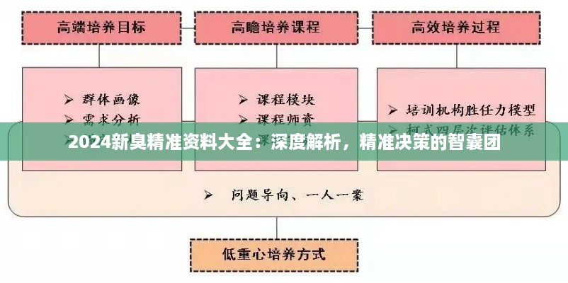 2024新臭精準(zhǔn)資料大全：深度解析，精準(zhǔn)決策的智囊團(tuán)