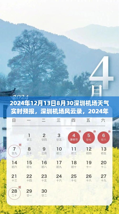 深圳機場天氣預報紀實，風云變幻下的航班動態(tài)與影響